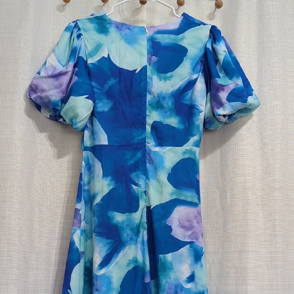 Blue Floral Dress - Picture 12 of 16